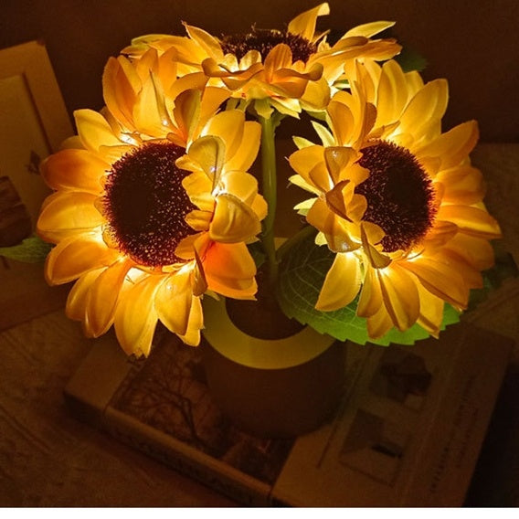 SunGlow Bloom