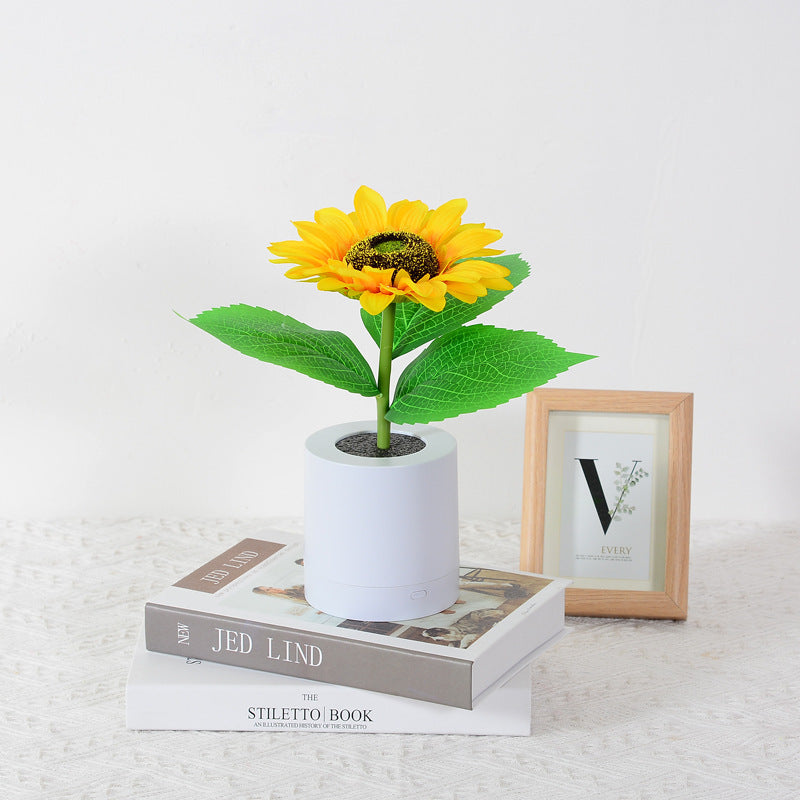 SunGlow Bloom