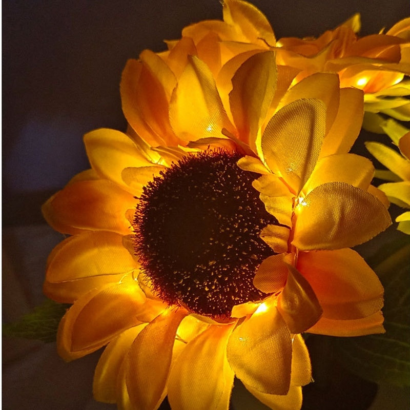 SunGlow Bloom