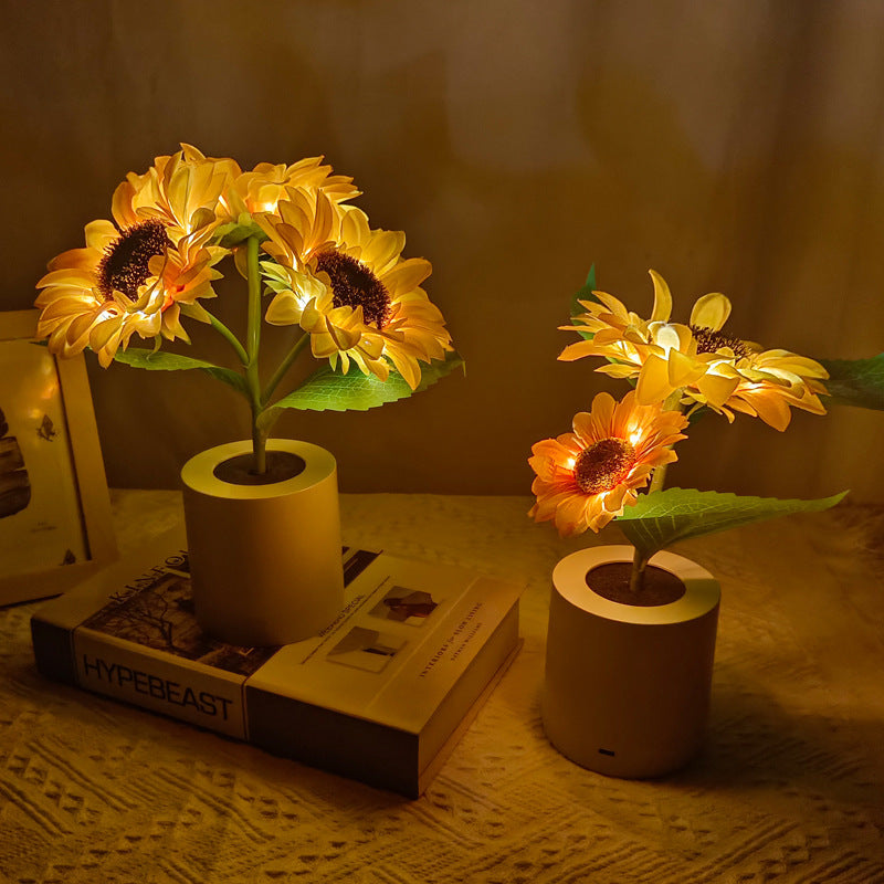 SunGlow Bloom