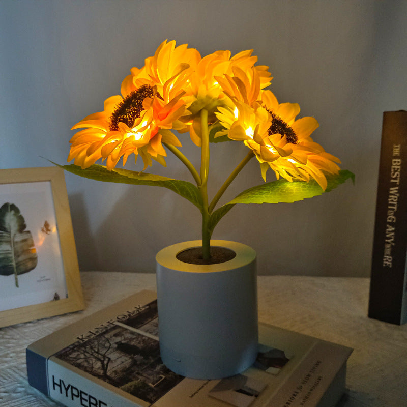 SunGlow Bloom