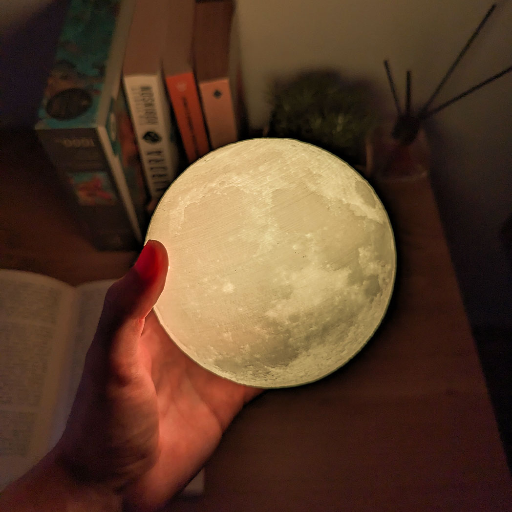 Fantastic Moon