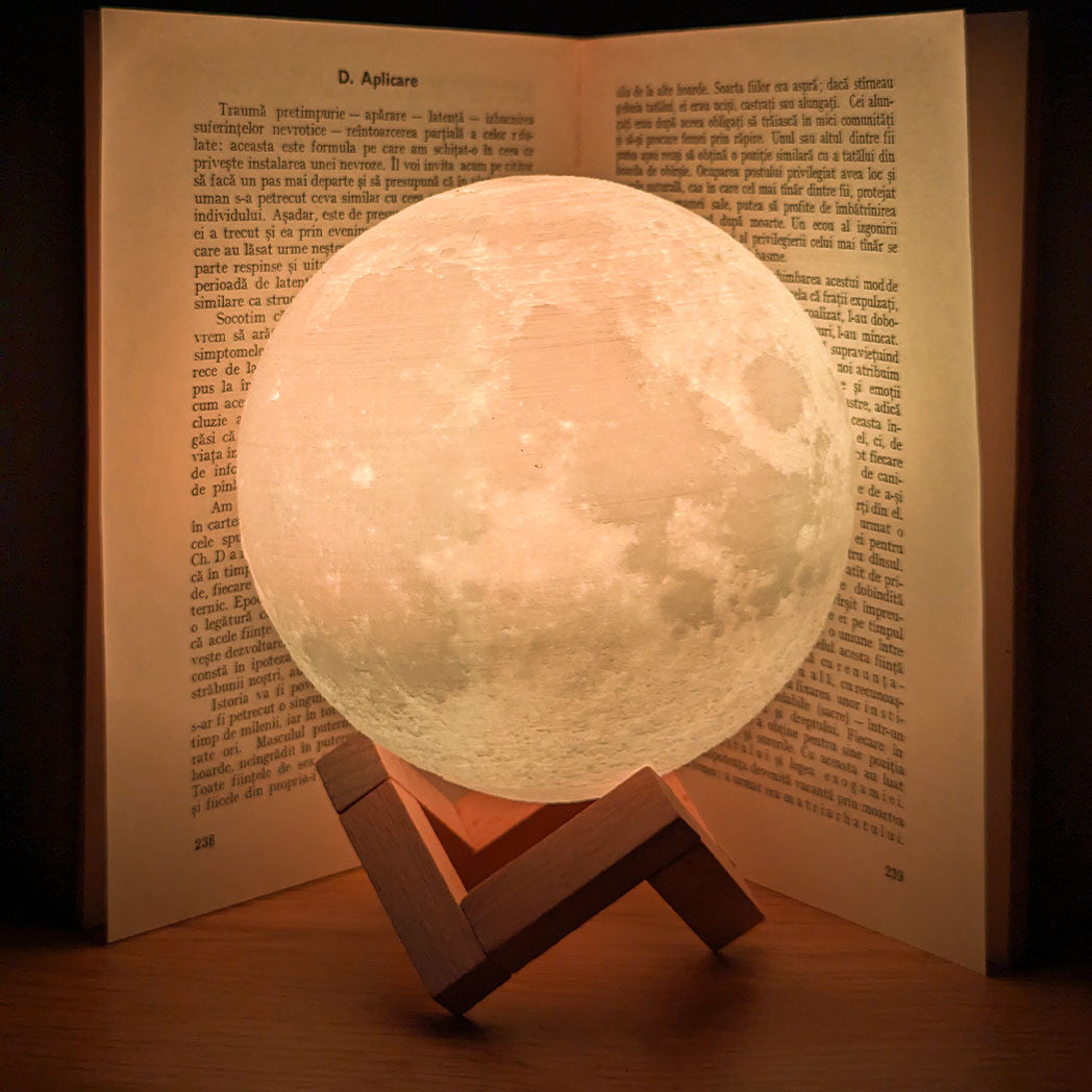 Fantastic Moon