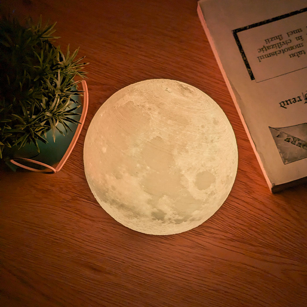 Fantastic Moon