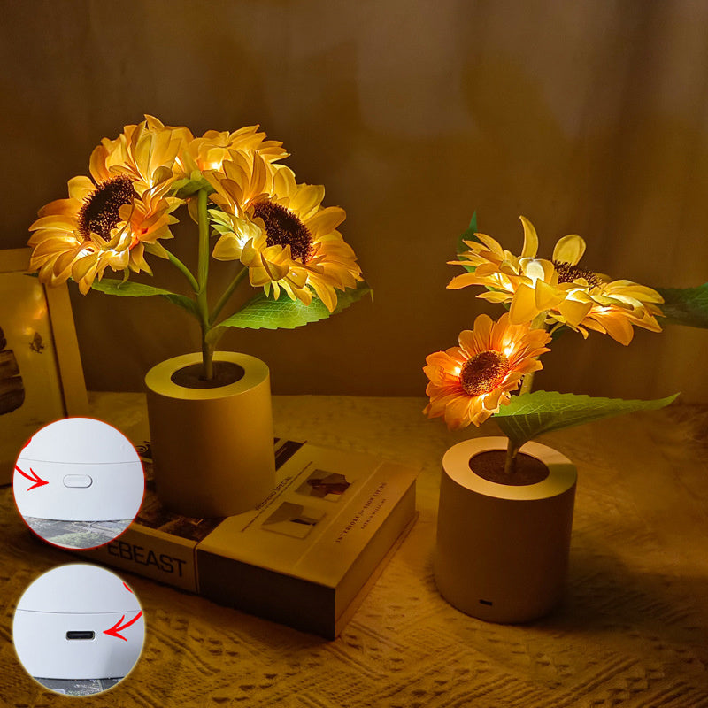 SunGlow Bloom