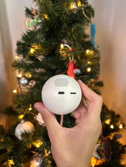 Memory Ball