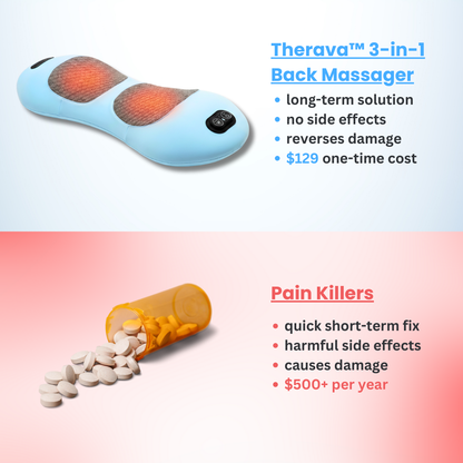 Original 3-in-1 Back Massager