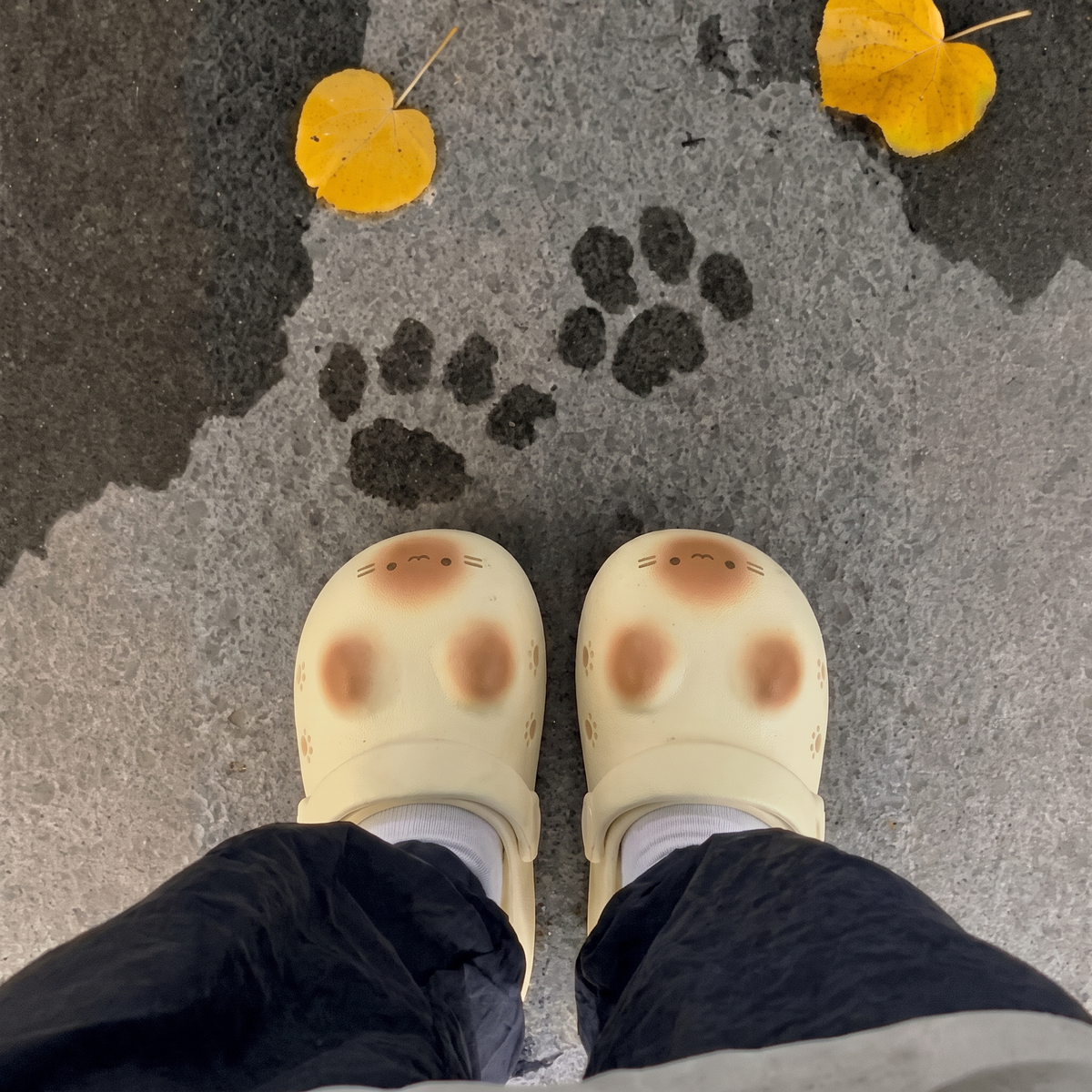 KittySteps