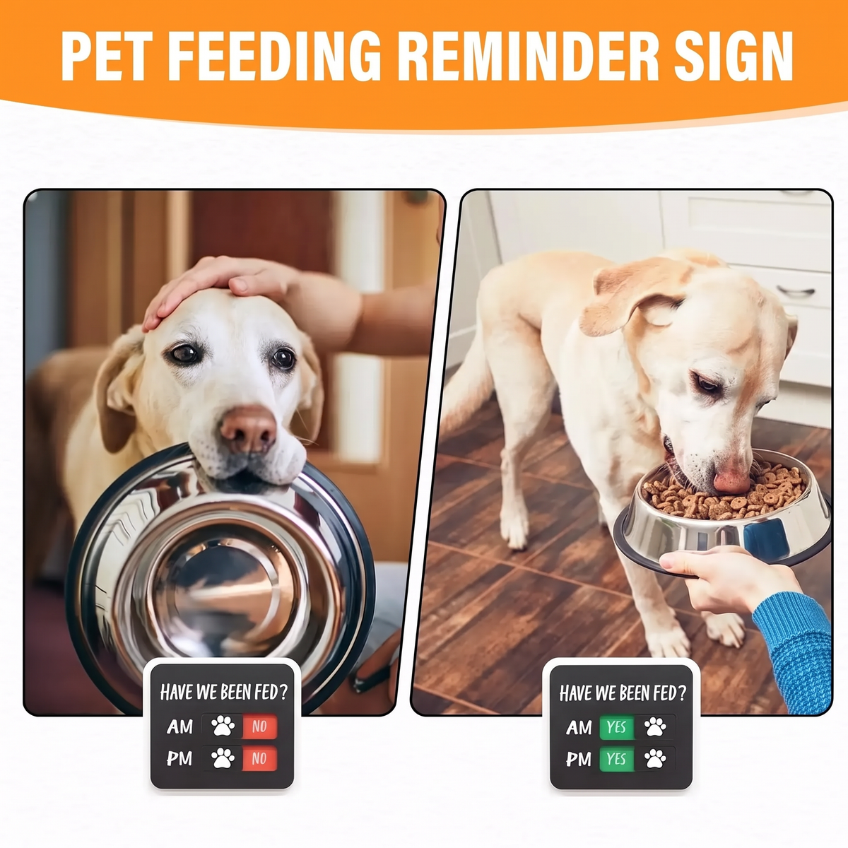 Pet Meal Reminder
